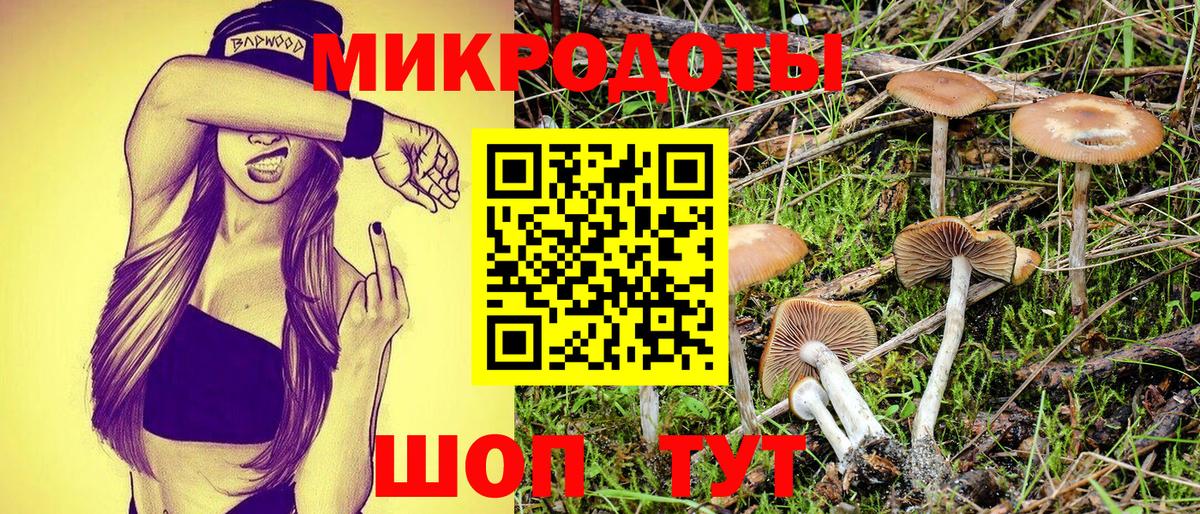 Псилоцибиновые грибы мухоморы Избербаш